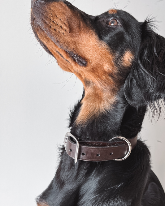 Håndlaget halsbånd i lær til hund med navn