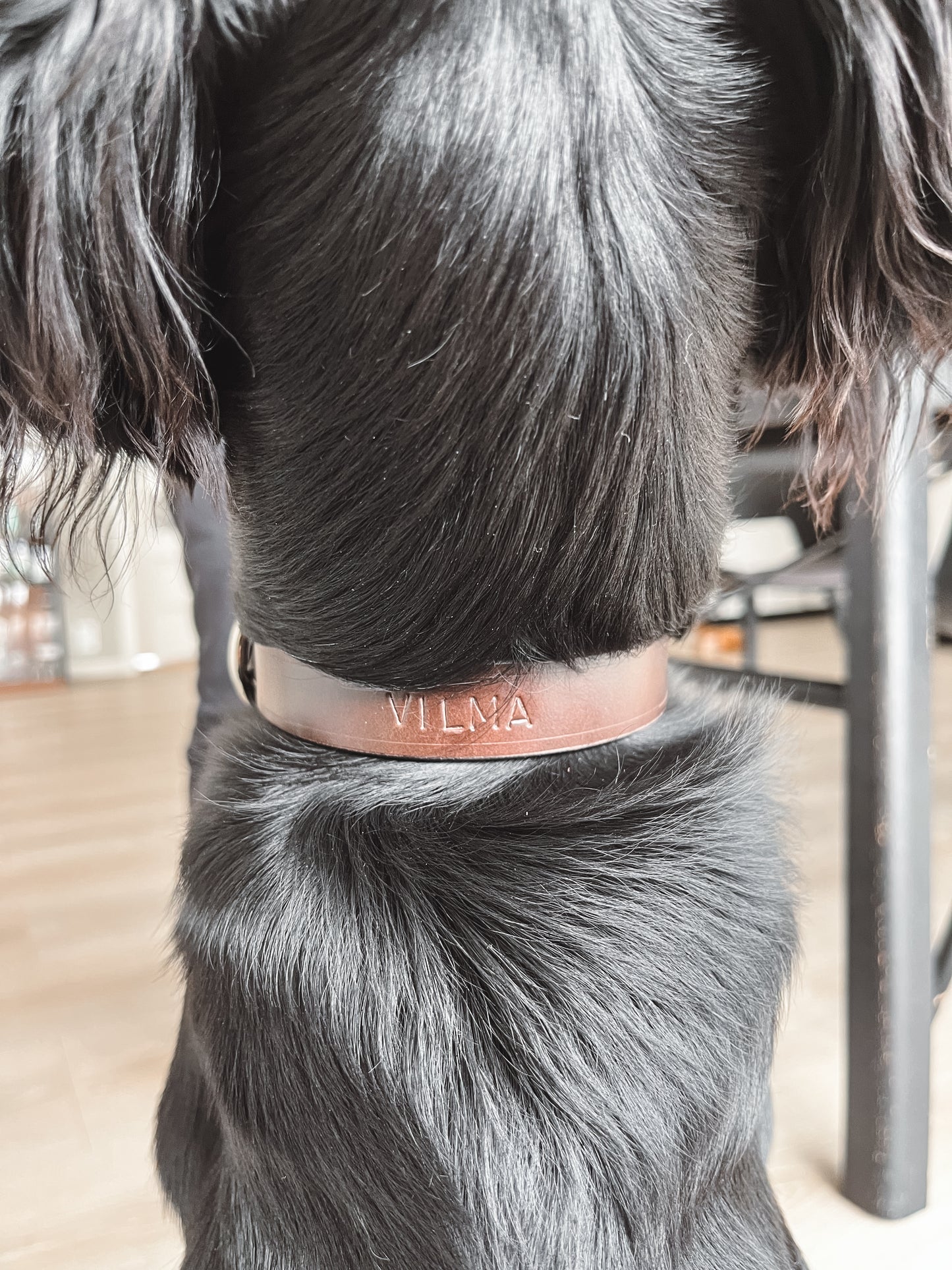 Håndlaget halsbånd i lær til hund med navn