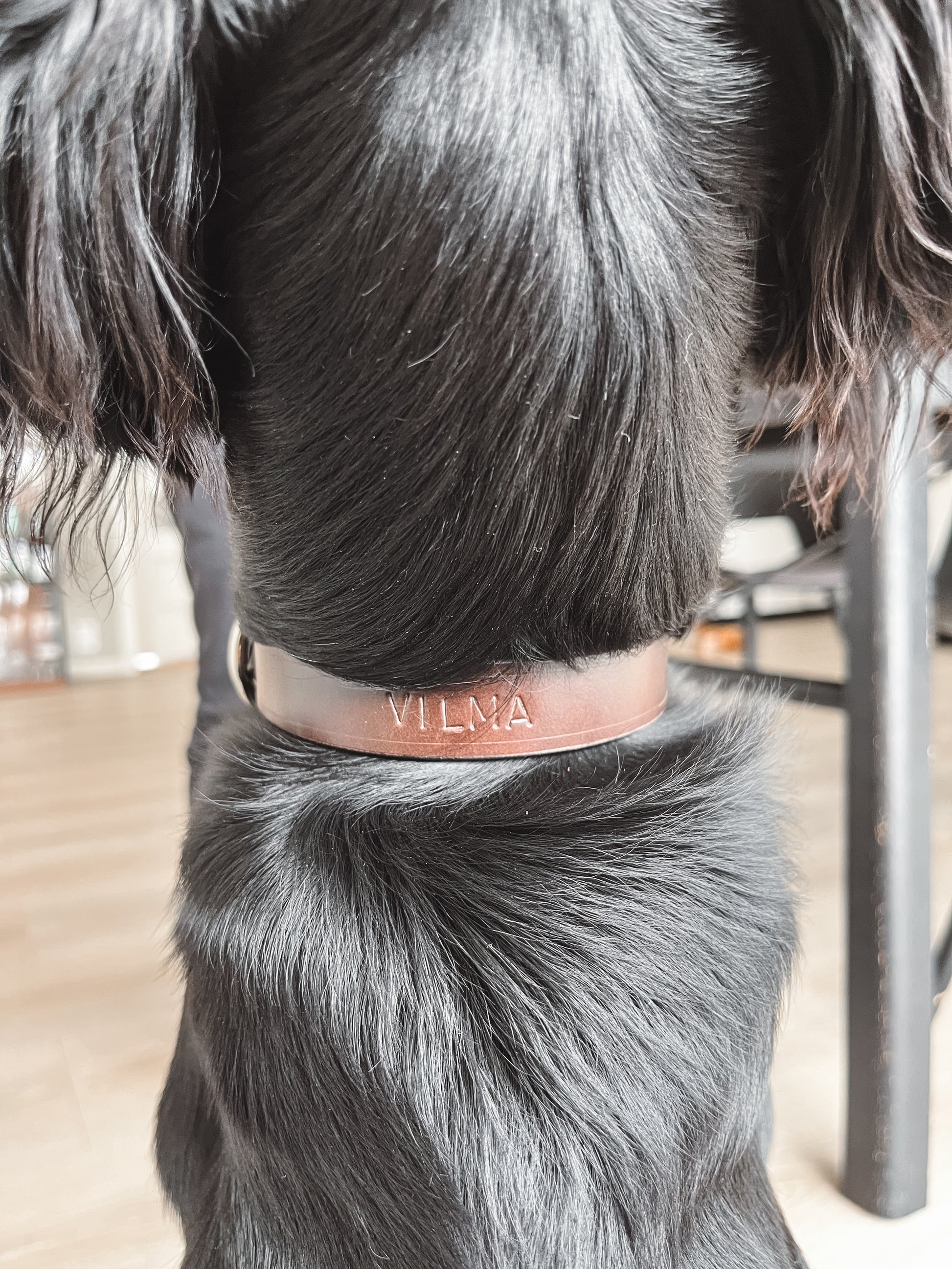 Håndlaget halsbånd i lær til hund med navn