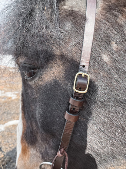 Hodelag | Hest