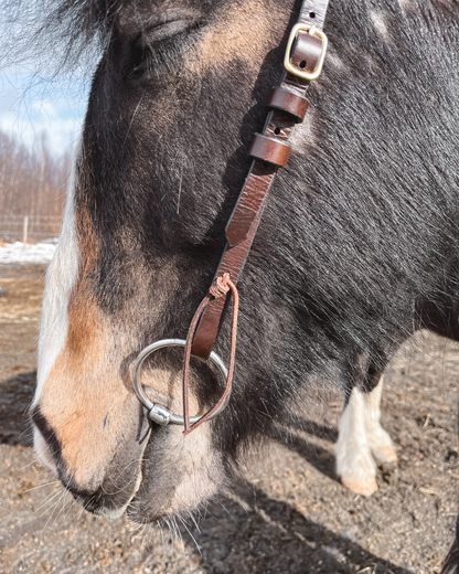 Hodelag | Hest